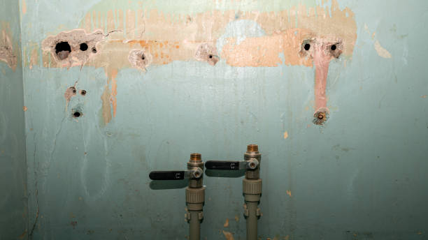 Best Sewage cleanup and water damage restoration  in Schulenburg, TX