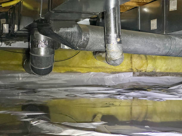 Best Mold removal after water damage  in Schulenburg, TX